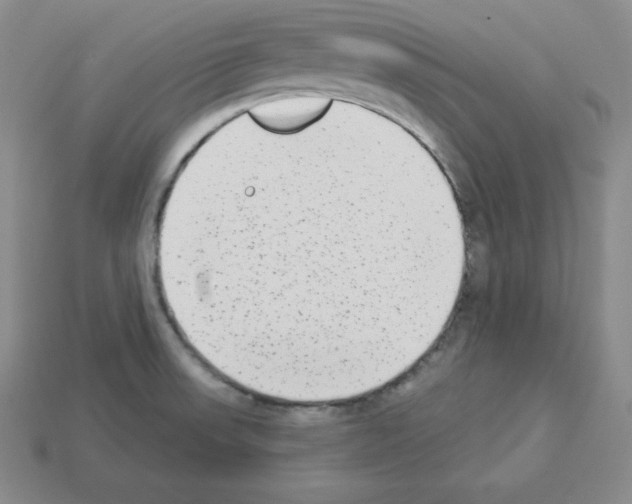 X0000112861523200910021301