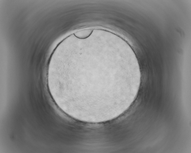 X0000112861526200910021301
