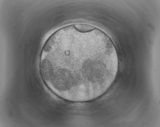 X0000112861527200910021301