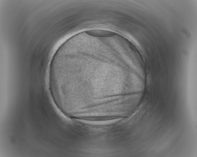 X0000112861528200910021301