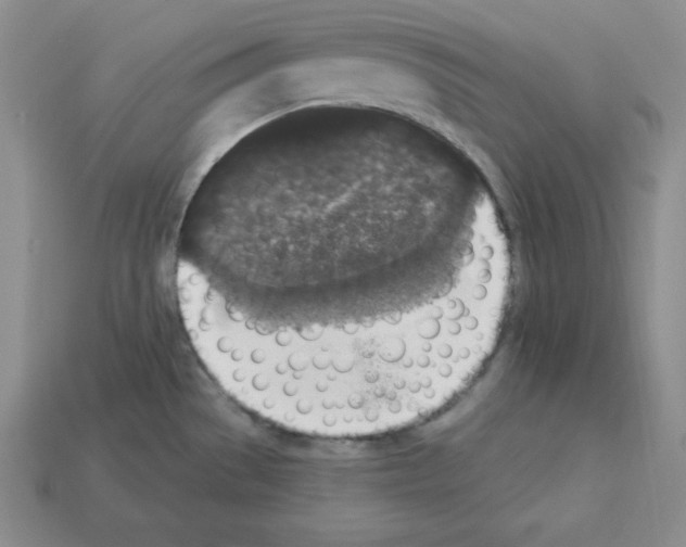 X0000112861529200910021301