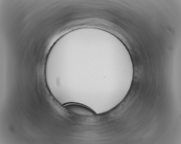 X0000112861530200910021301