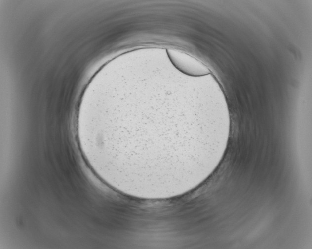 X0000112861531200910021301