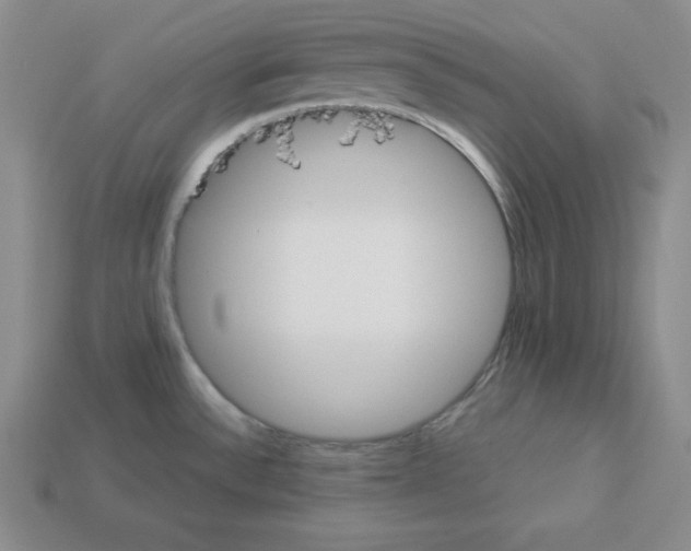 X0000112861532200910021301