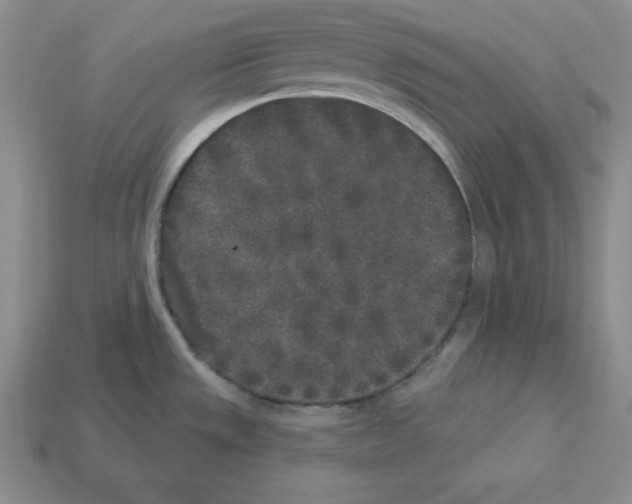 X0000112861533200910021301
