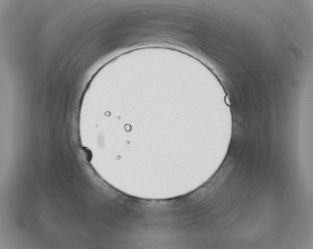 X0000112861534200910021301