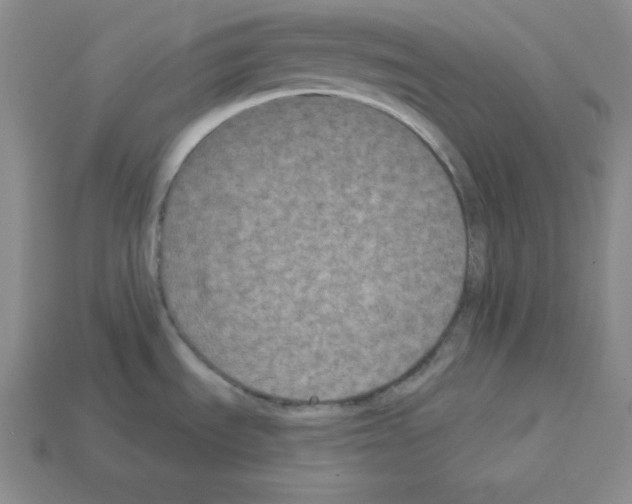X0000112861535200910021301