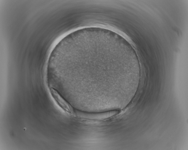 X0000112861536200910021301