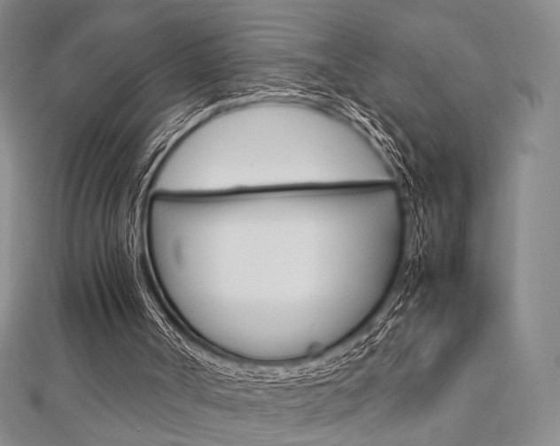 X0000112870002200908211039
