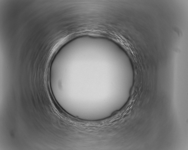 X0000112870003200908211039