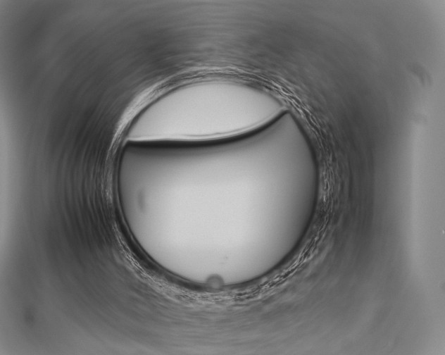 X0000112870004200908211039