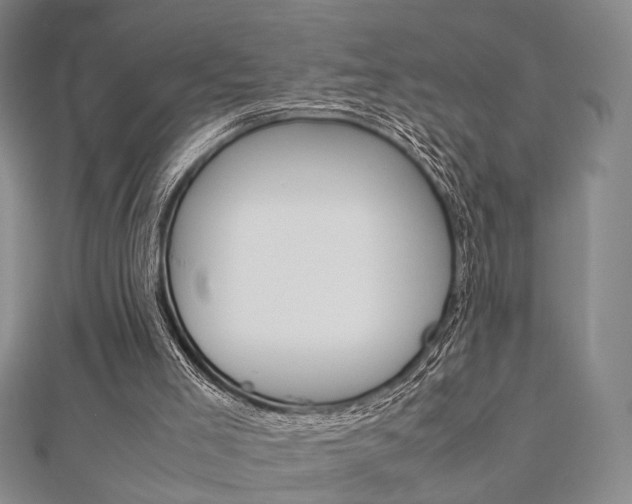 X0000112870005200908211039