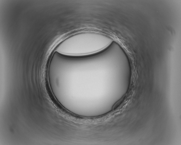 X0000112870007200908211039