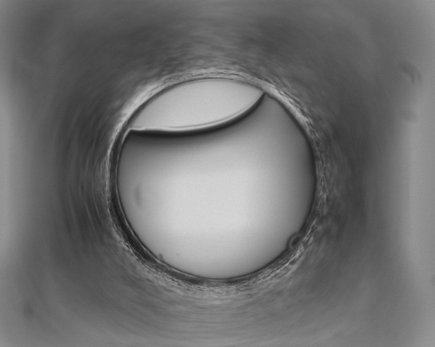 X0000112870008200908211039
