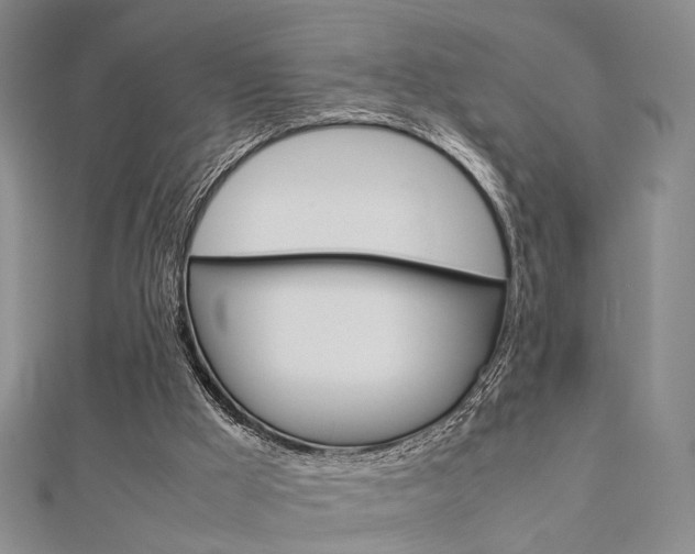 X0000112870009200908211039