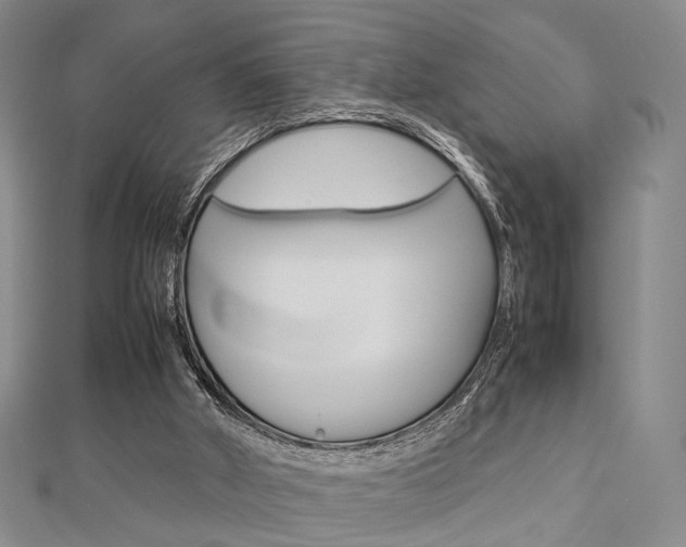 X0000112870010200908211039