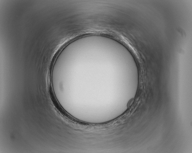 X0000112870011200908211039