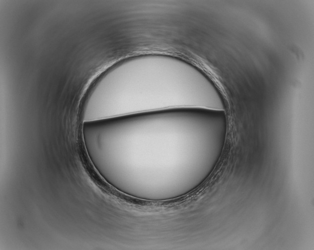 X0000112870012200908211039