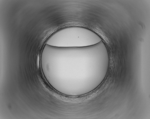 X0000112870014200908211039