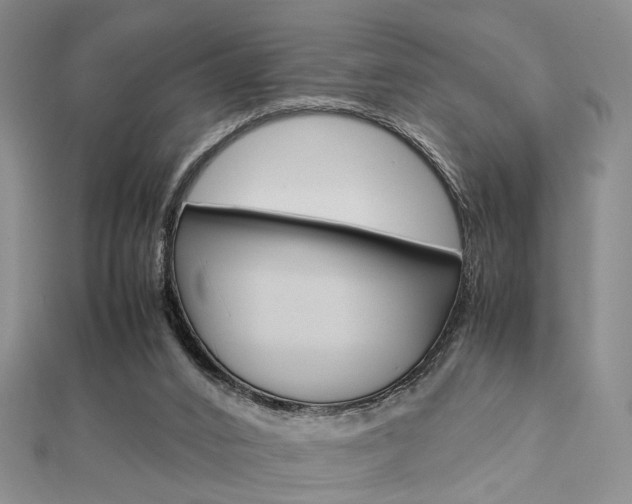 X0000112870016200908211039