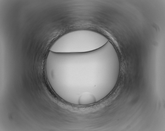 X0000112870018200908211039