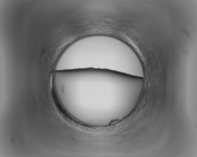X0000112870019200908211039