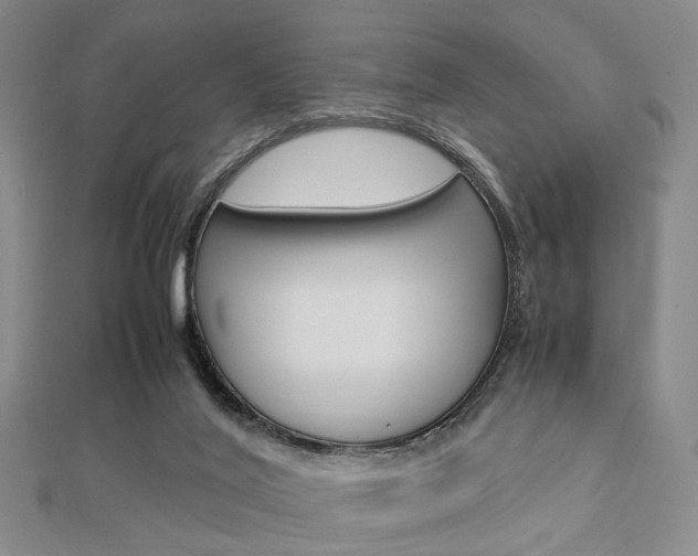 X0000112870020200908211039
