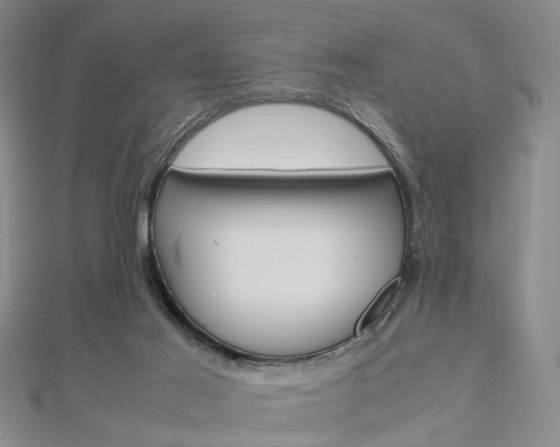 X0000112870021200908211039