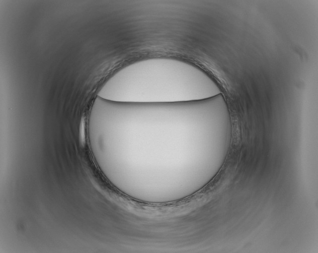 X0000112870022200908211039