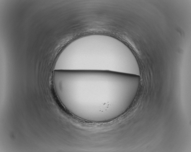 X0000112870023200908211039
