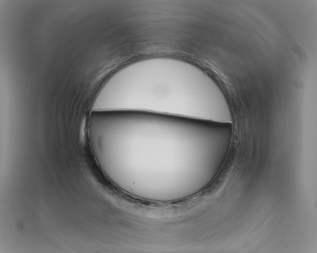 X0000112870024200908211039