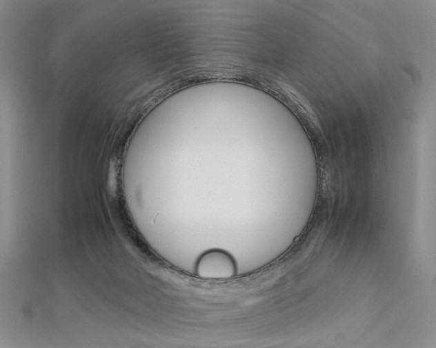 X0000112870026200908211039