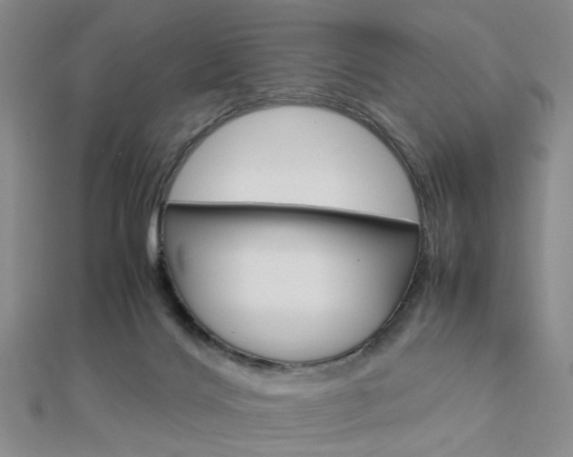 X0000112870028200908211039