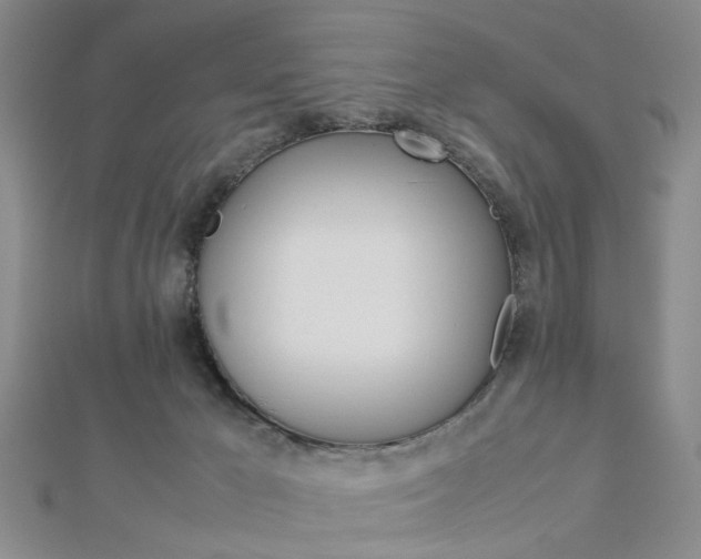 X0000112870029200908211039