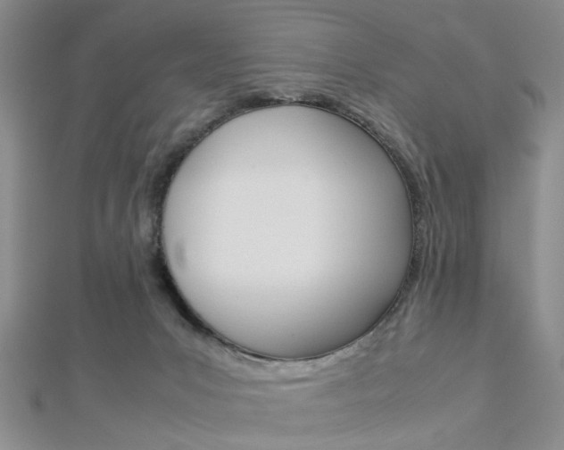 X0000112870031200908211039