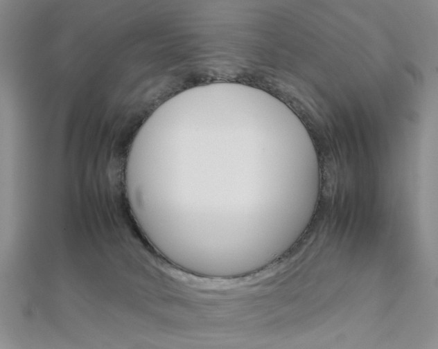 X0000112870034200908211039
