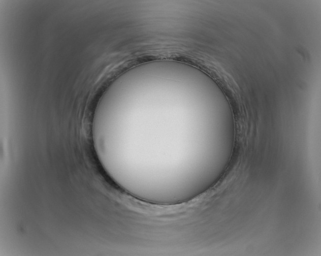 X0000112870035200908211039