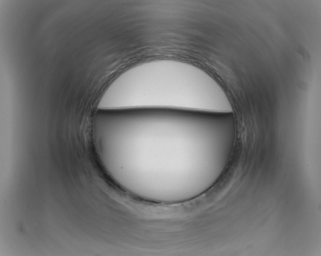 X0000112870036200908211039