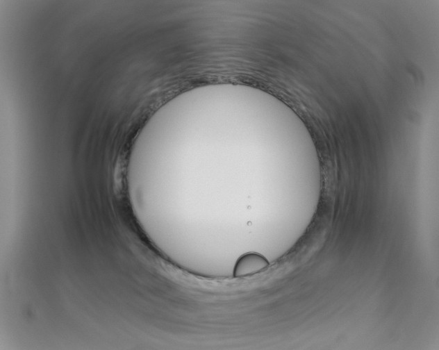 X0000112870038200908211039