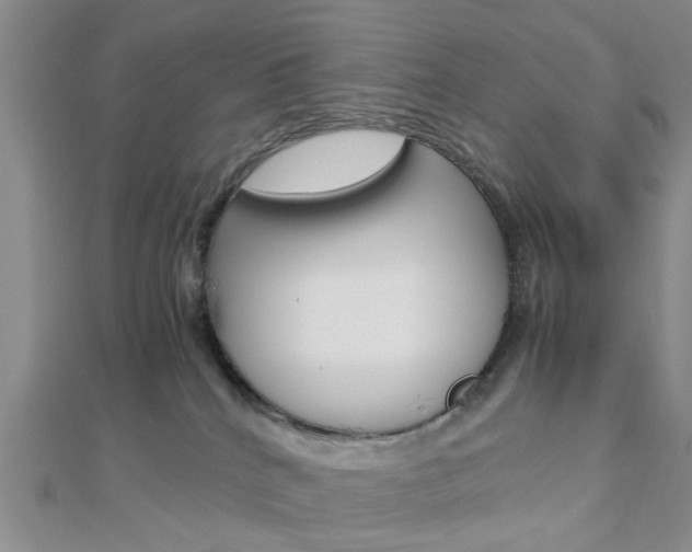 X0000112870040200908211039
