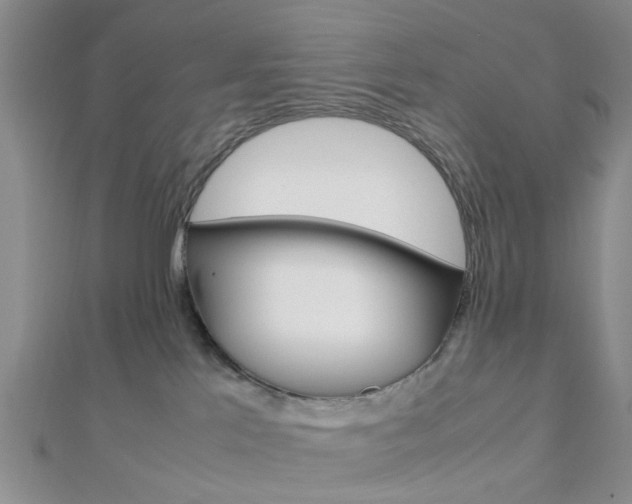 X0000112870041200908211039
