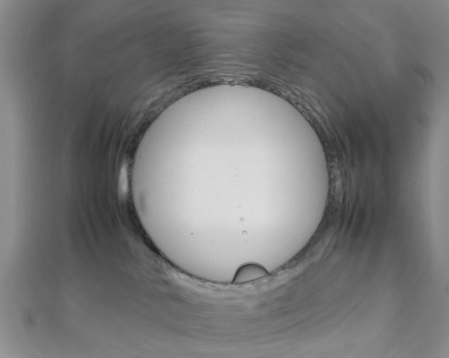X0000112870042200908211039