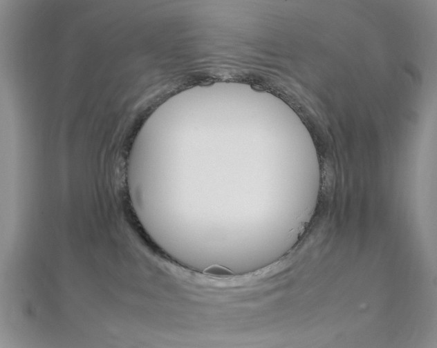 X0000112870043200908211039