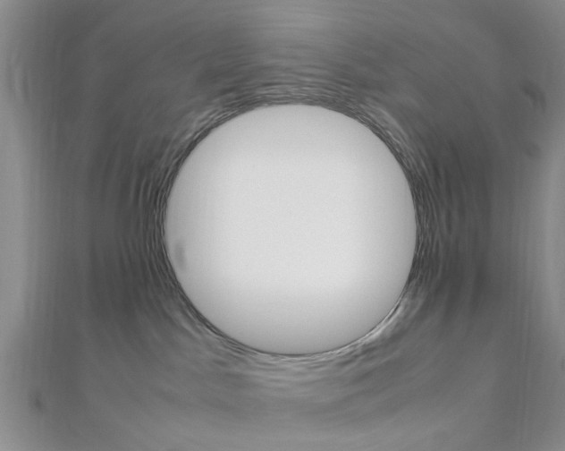 X0000112870045200908211039