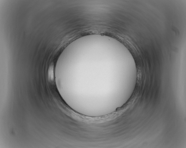 X0000112870046200908211039