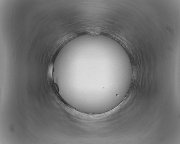 X0000112870047200908211039