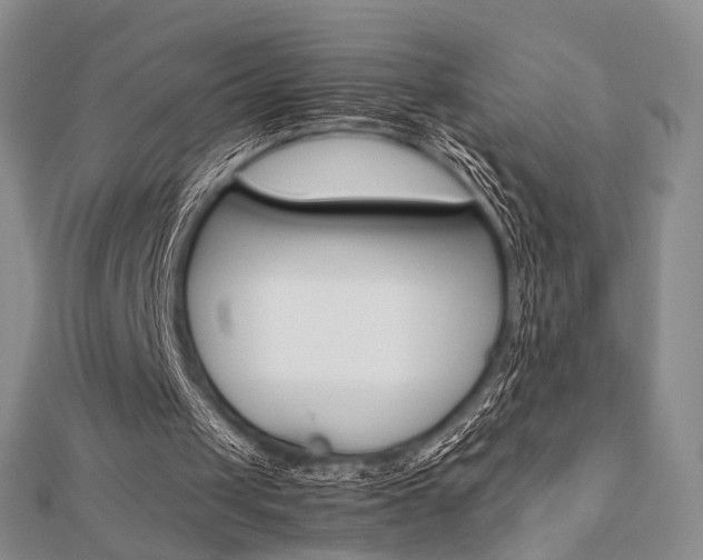 X0000112870049200908211038