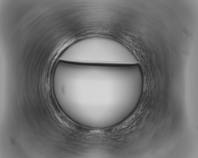 X0000112870050200908211038