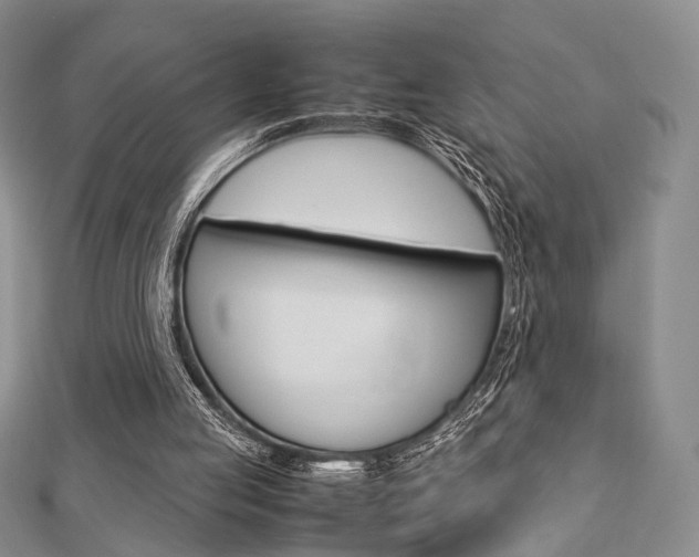 X0000112870053200908211038