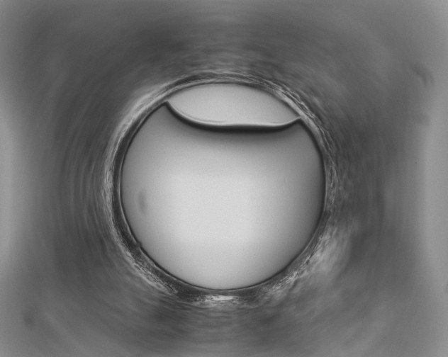 X0000112870055200908211038
